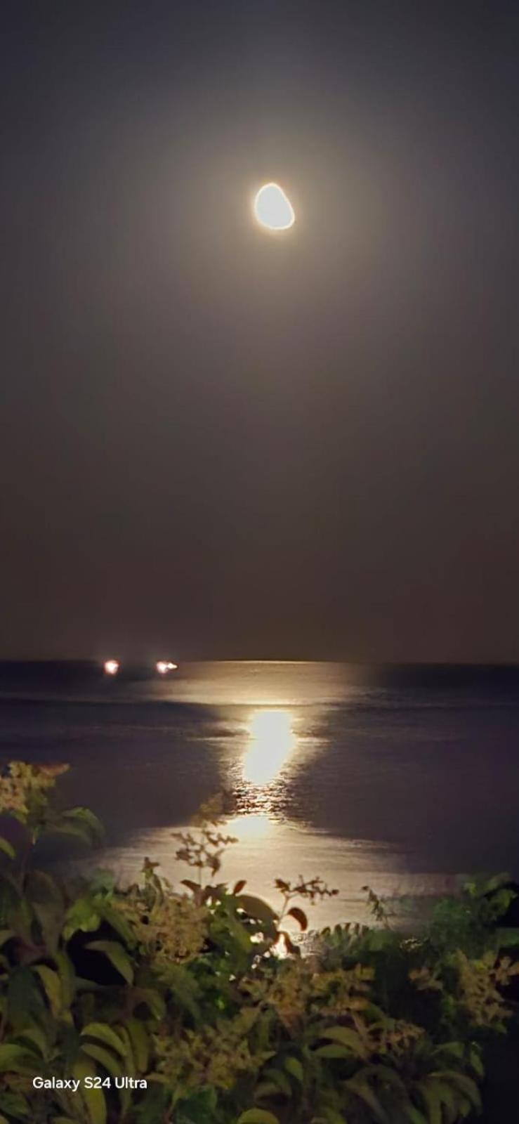 Tinta Dal Mare. Bilocale Vista Mare A Calopezzati Διαμέρισμα Εξωτερικό φωτογραφία